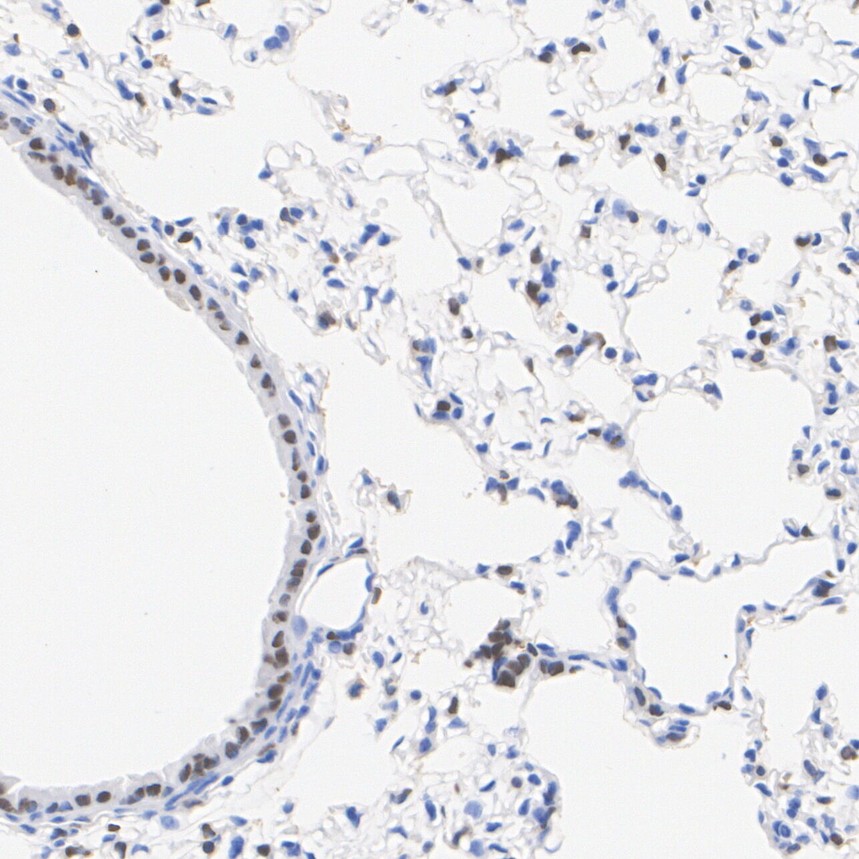 HA610433_4.jpg