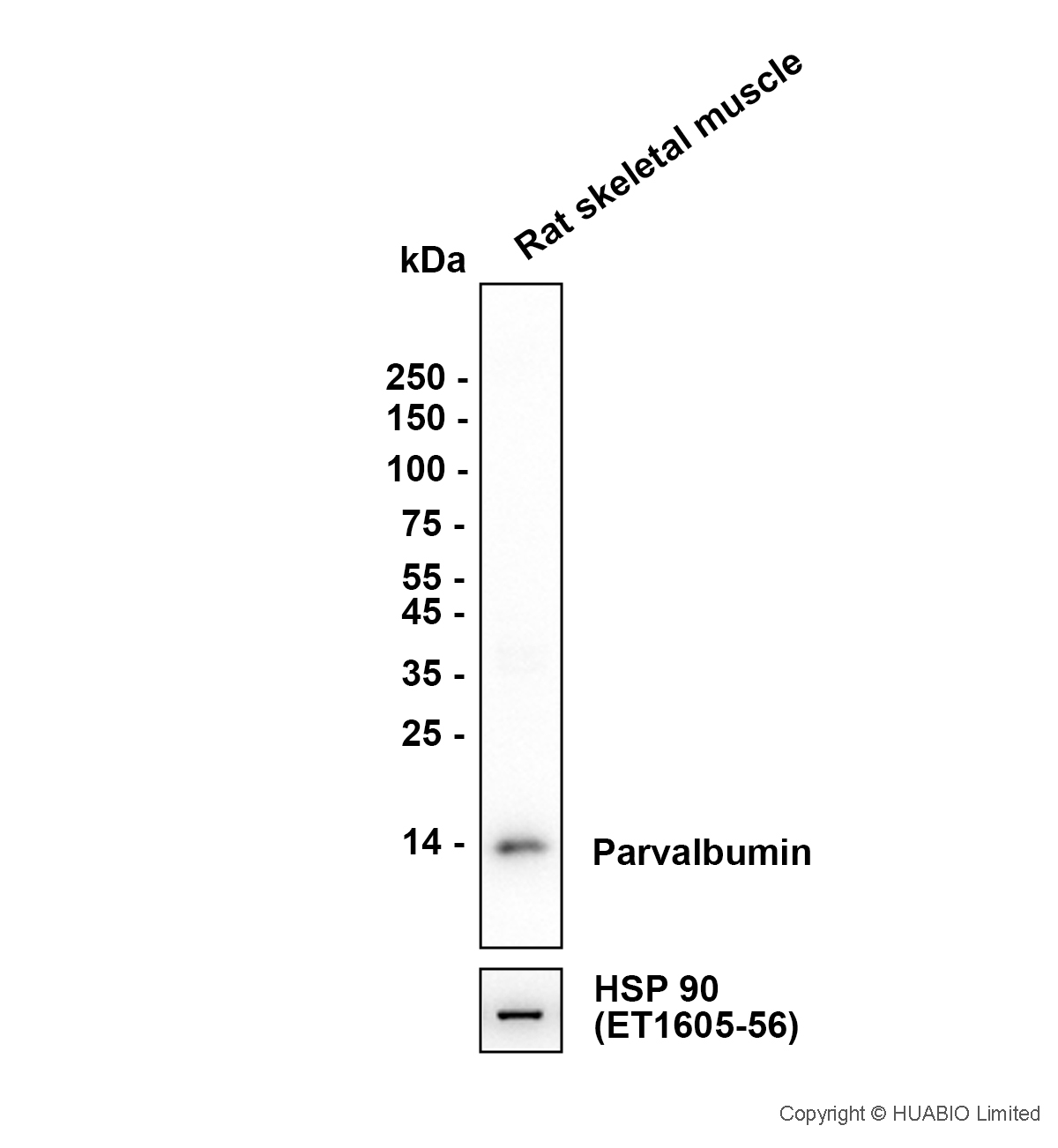 HA610439_2.jpg
