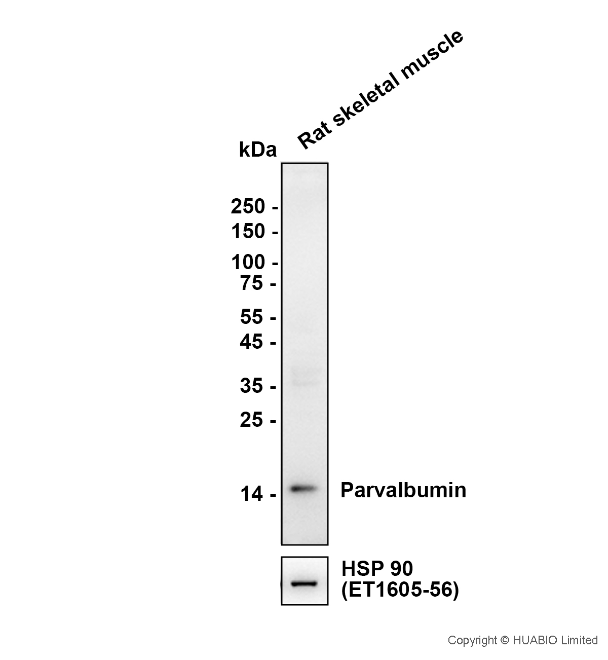 HA610440_2.jpg