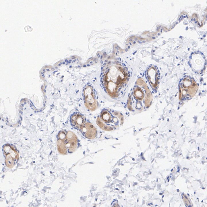 HA721070_3.jpg