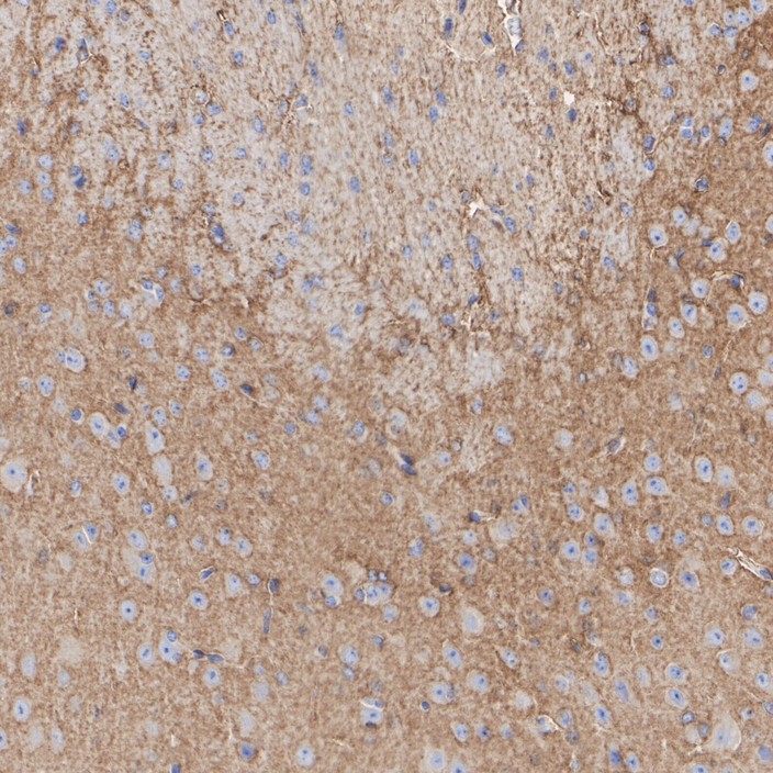 HA721081_4.jpg