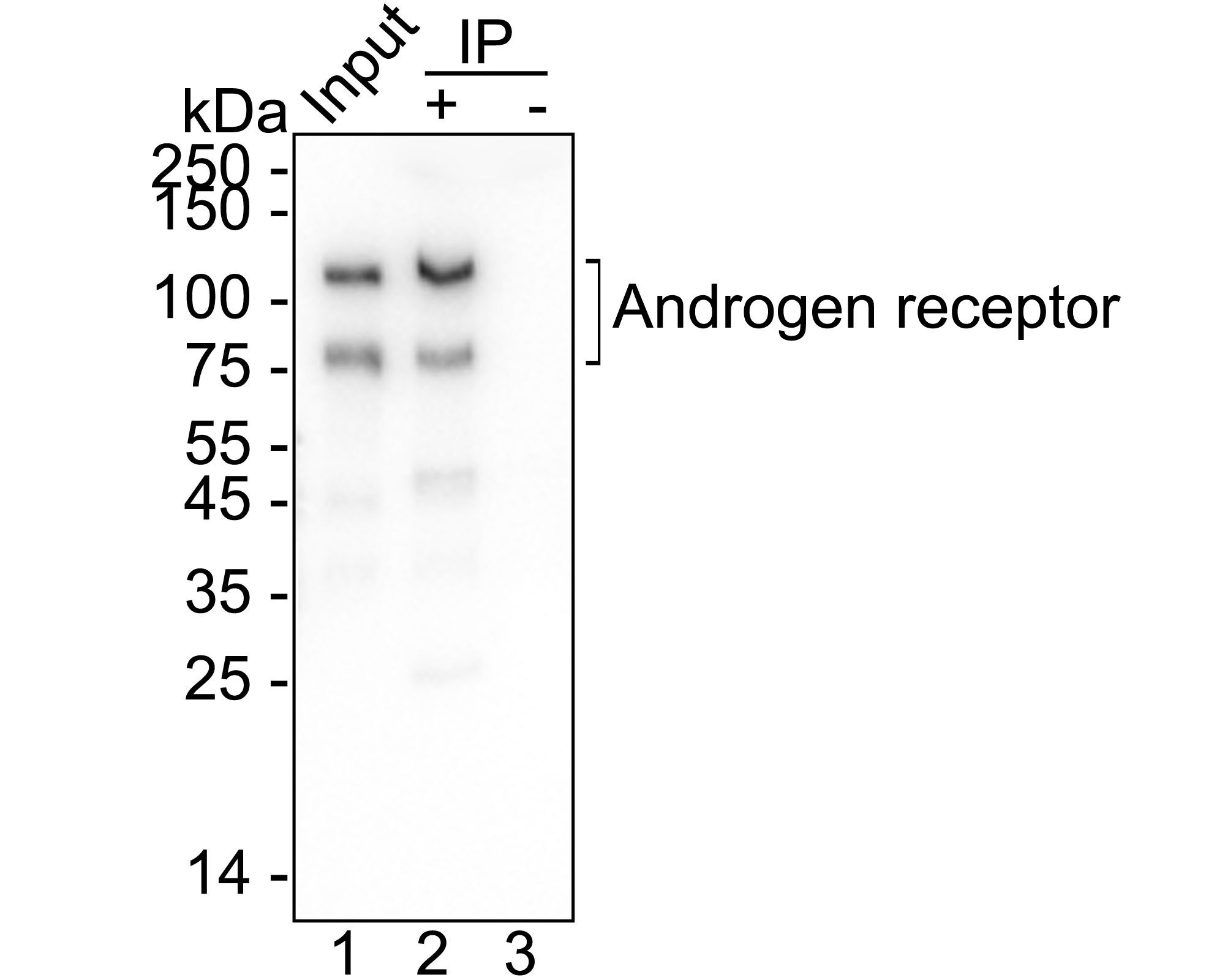 HA721156_12.jpg