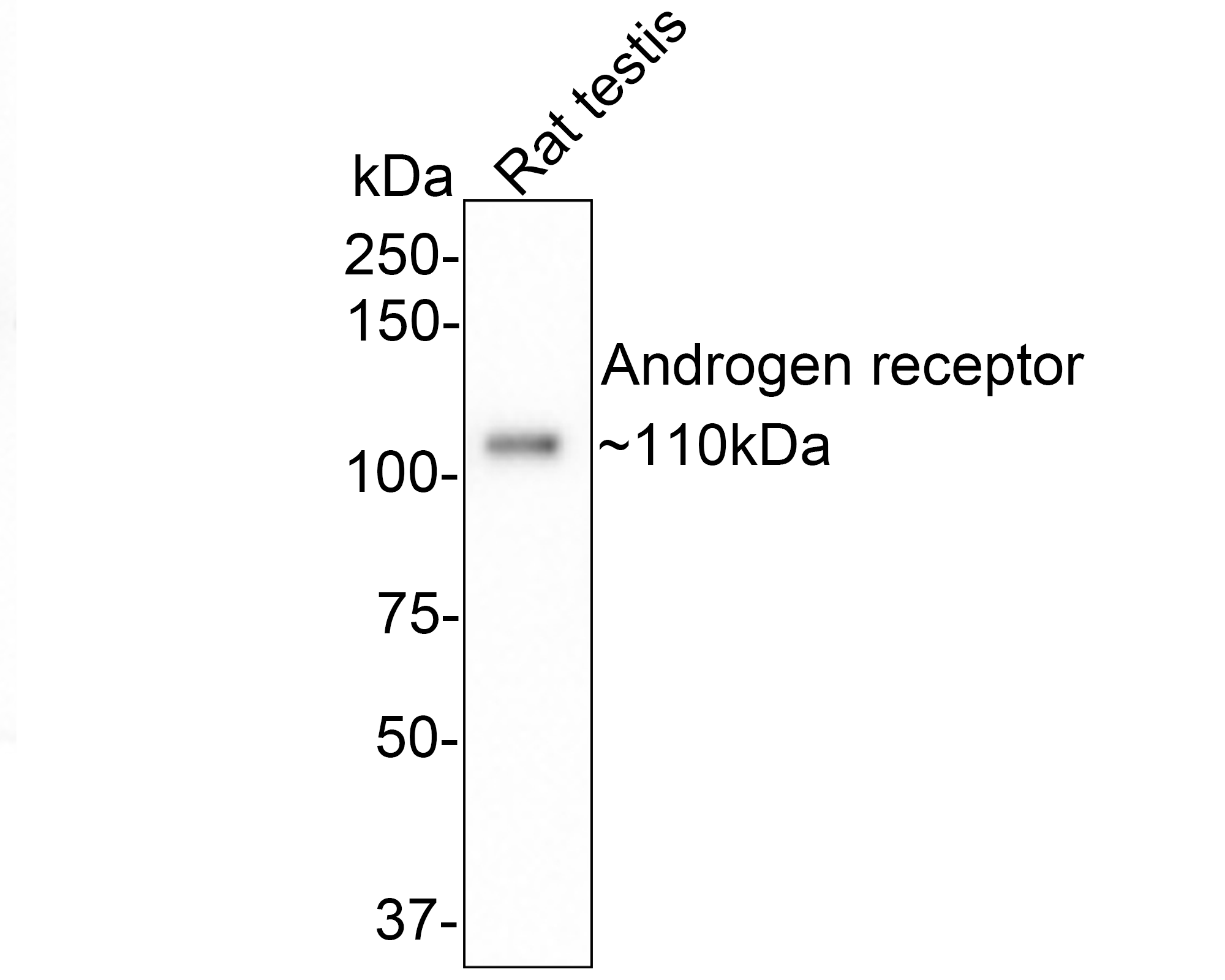 HA721156_9.png