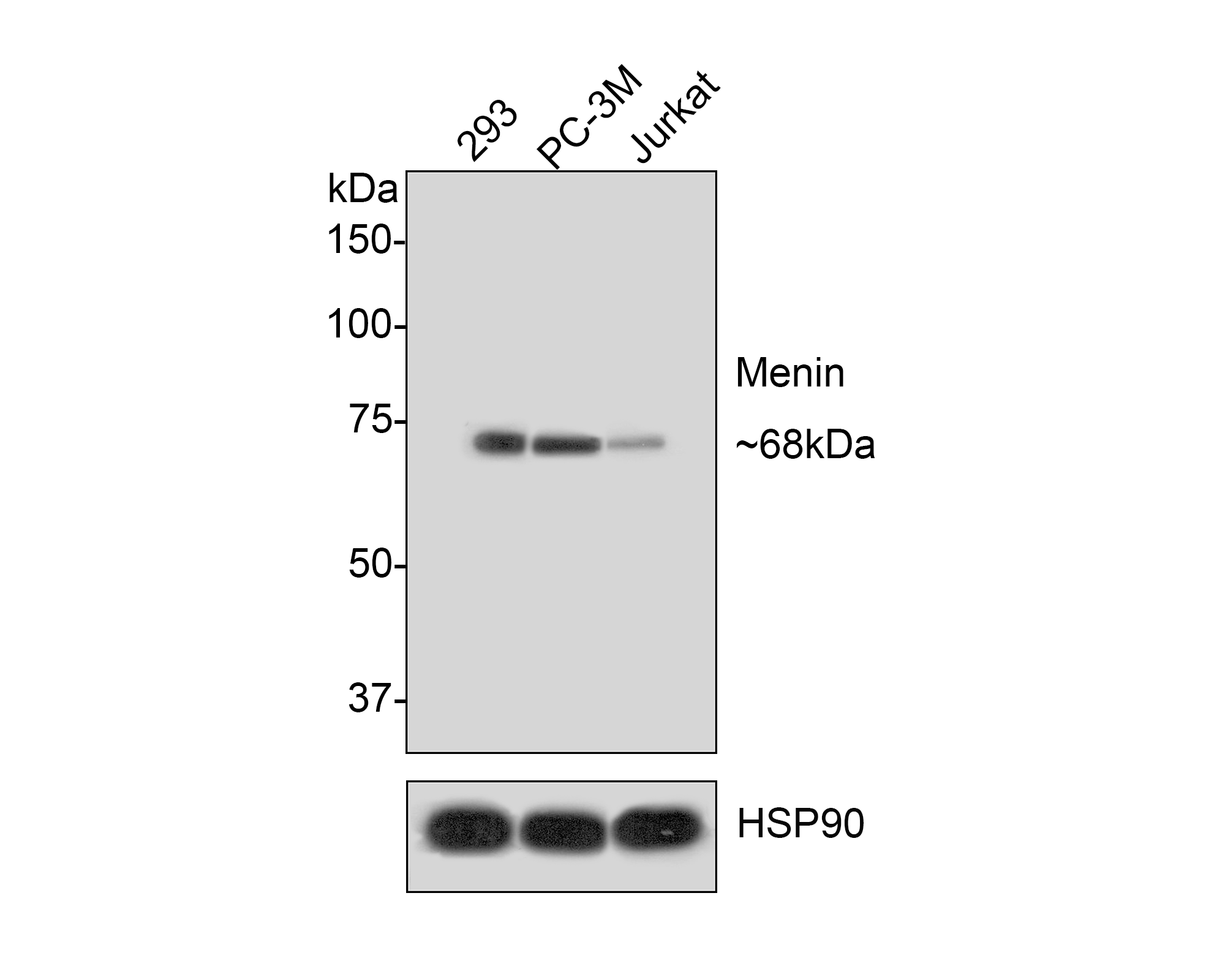 HA721313_2.png