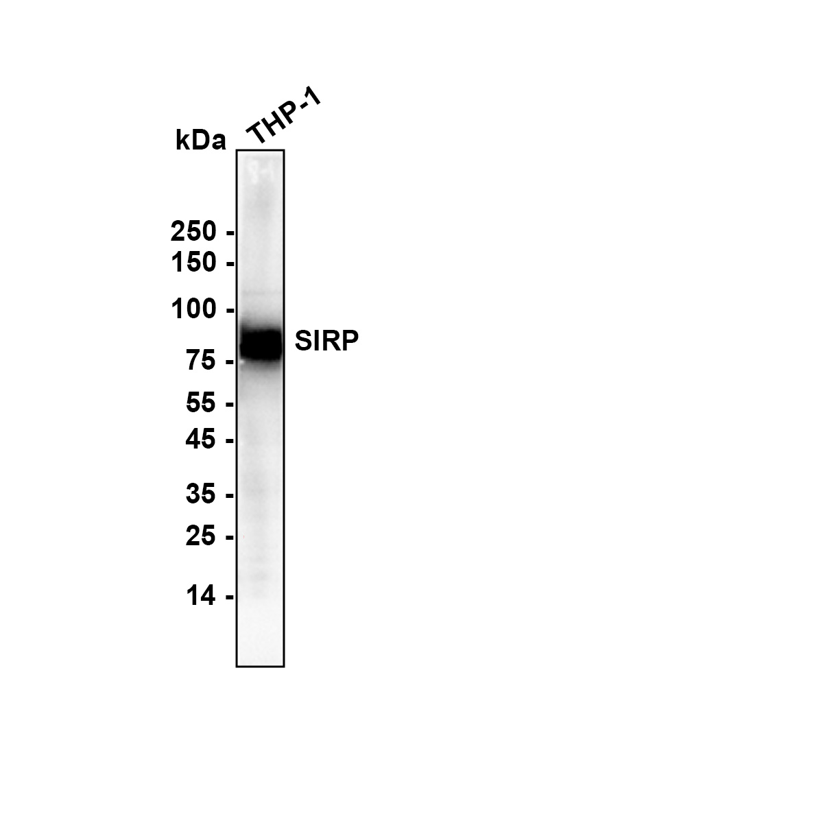HA721316_6.jpg