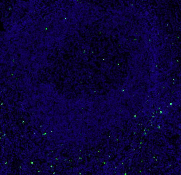 HA721358_4.jpg
