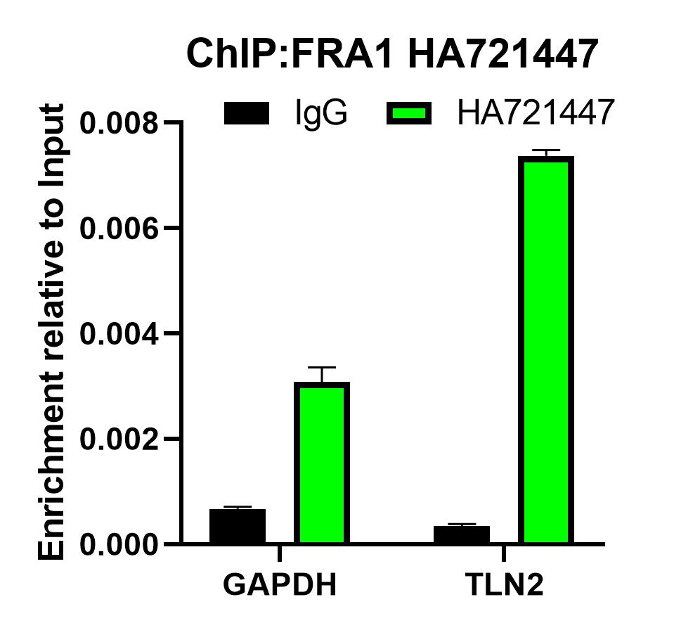 HA721447_6.jpg