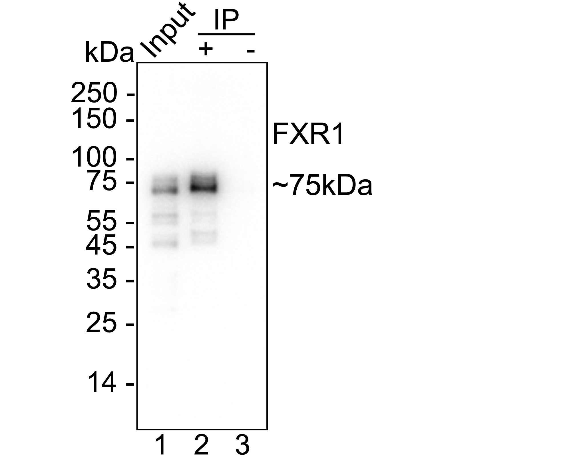 HA721499_7.jpg