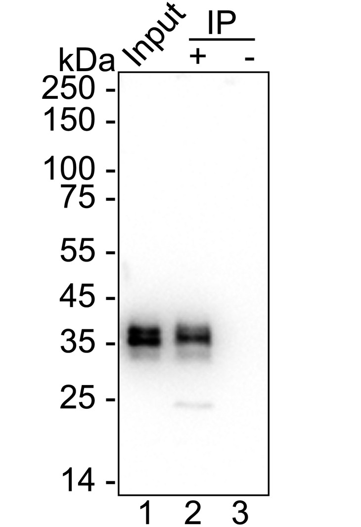 HA721634_5.jpg