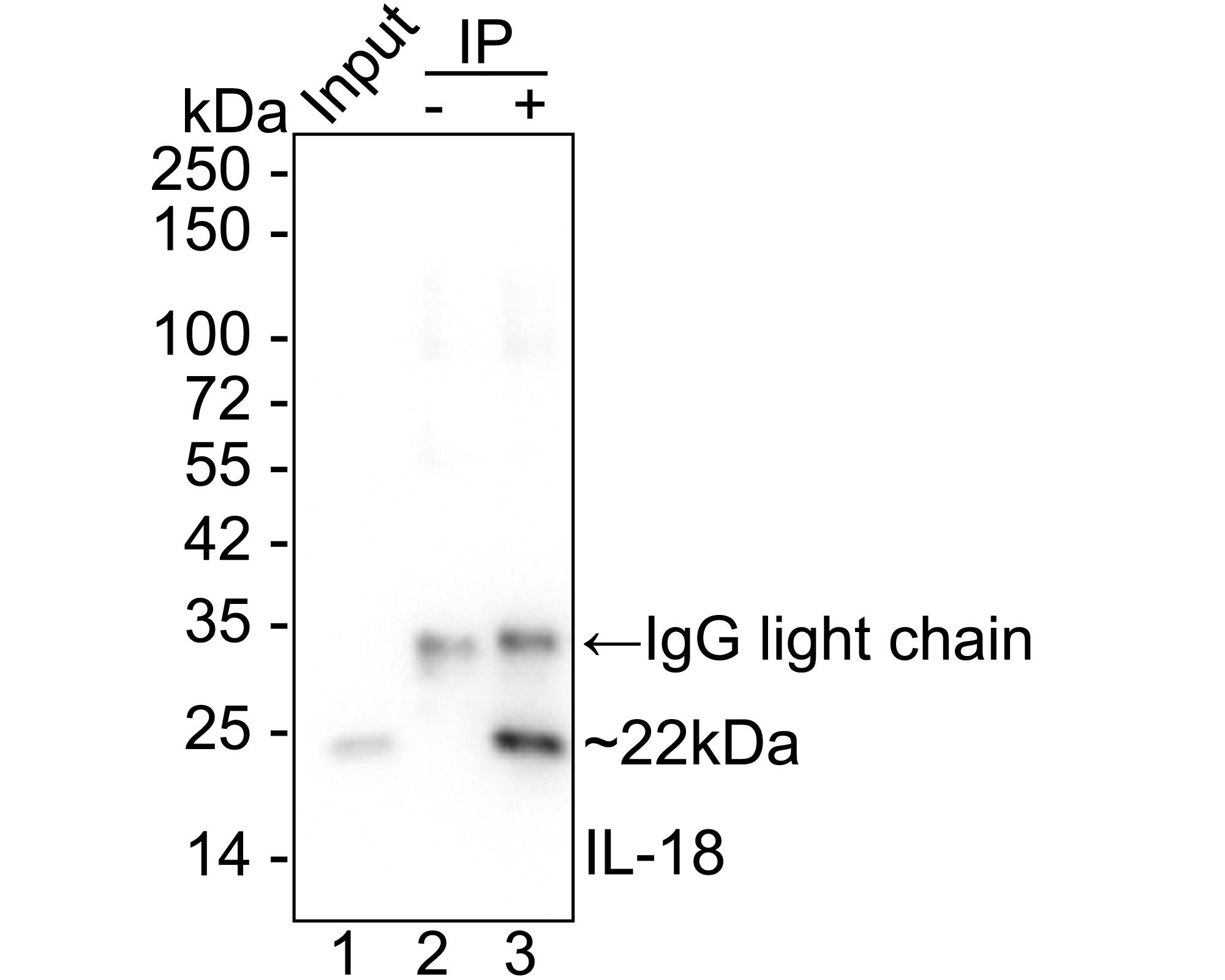 HA721767_6.jpg
