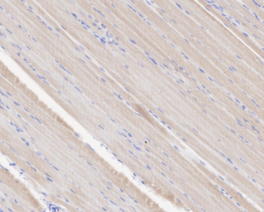 HA722010_4.jpg