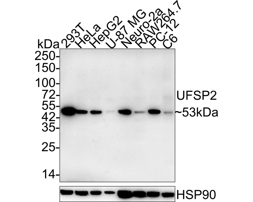 HA722016_1.jpg