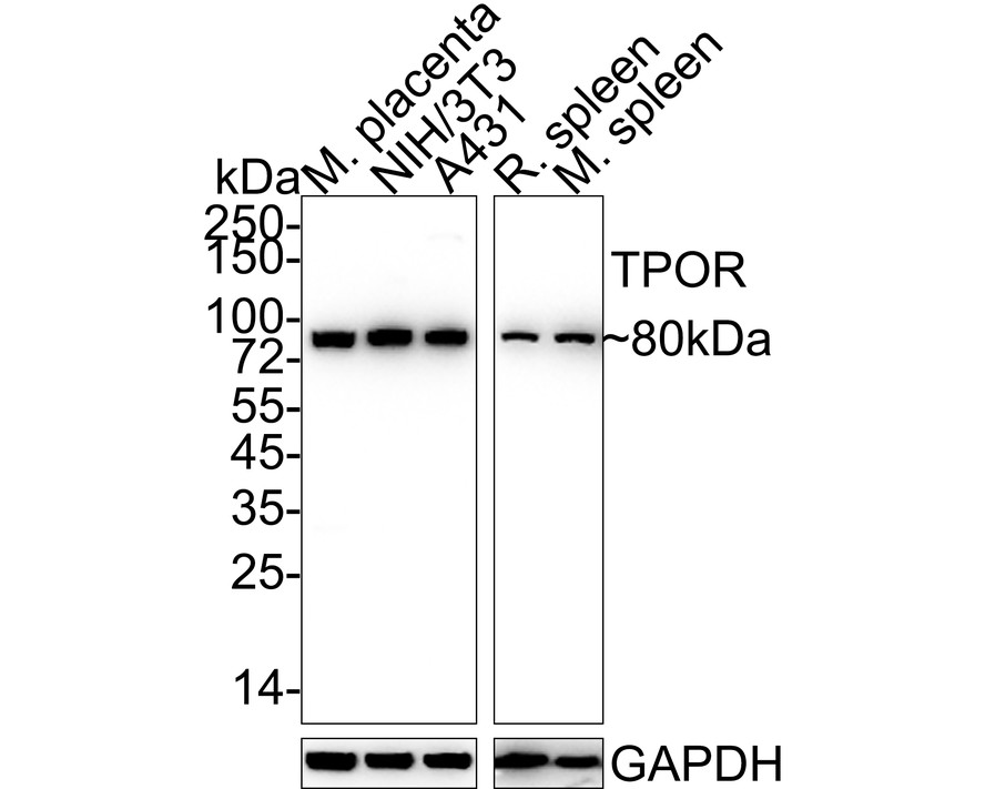 HA722068_1.jpg
