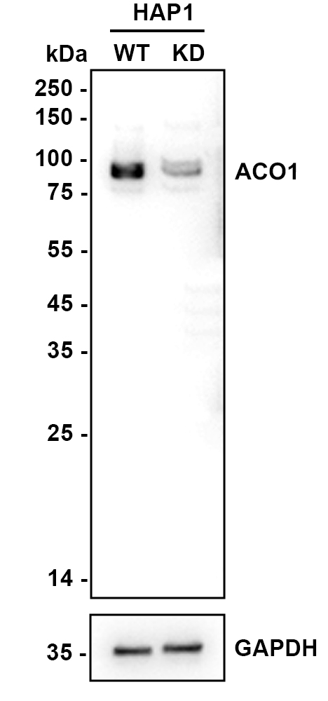 HA722071_2.jpg