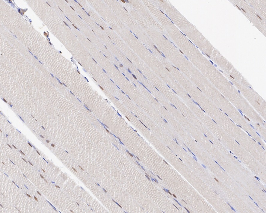 HA722144_6.jpg