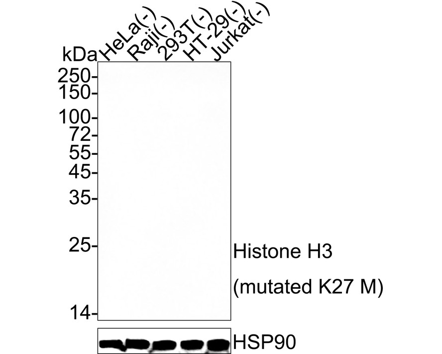 HA722200_2.jpg