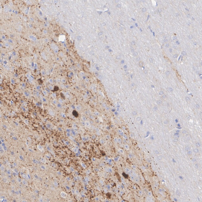 HA722241_5.jpg