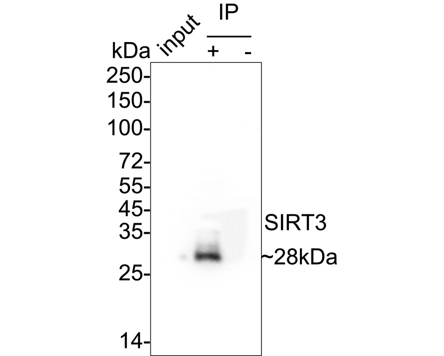 HA722251_12.jpg