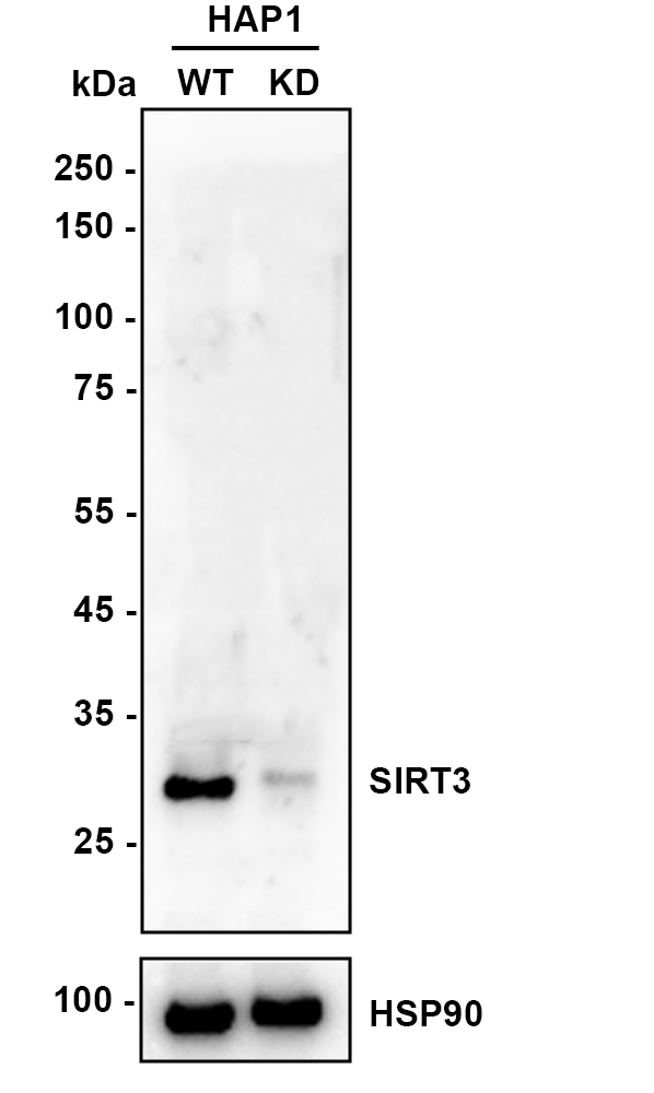 HA722251_5.jpg