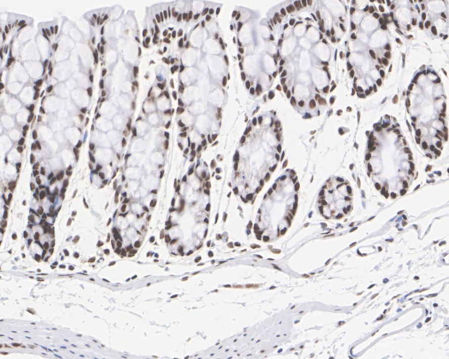 HA722374_7.jpg