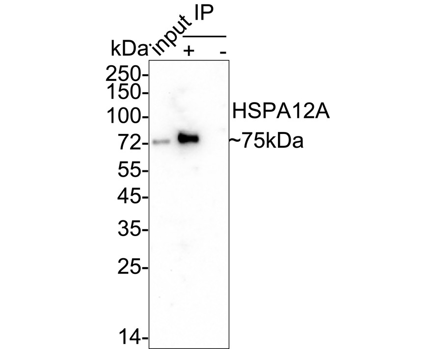 HA722425_5.jpg