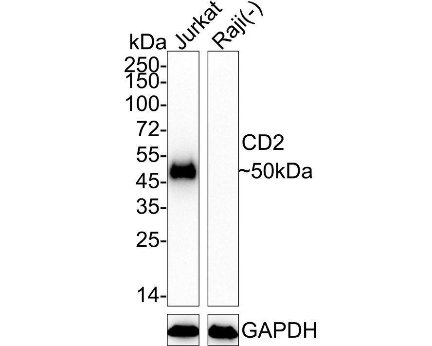 HA722483_1.jpg