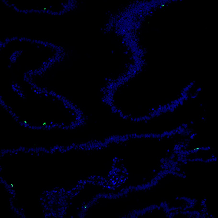 HA722504_10.jpg