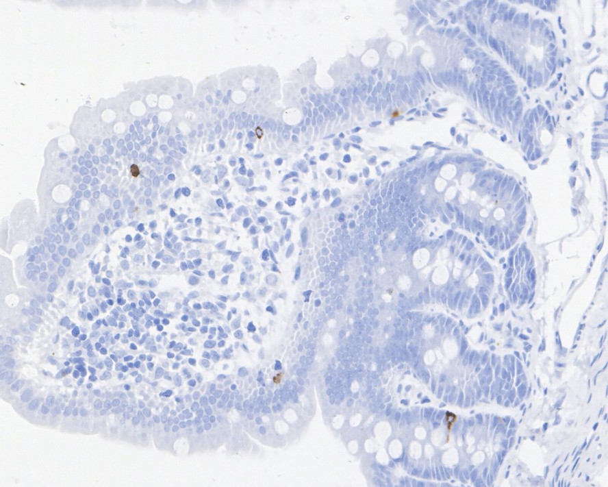 HA722504_5.jpg