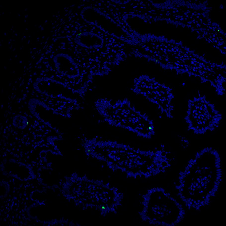 HA722504_6.jpg