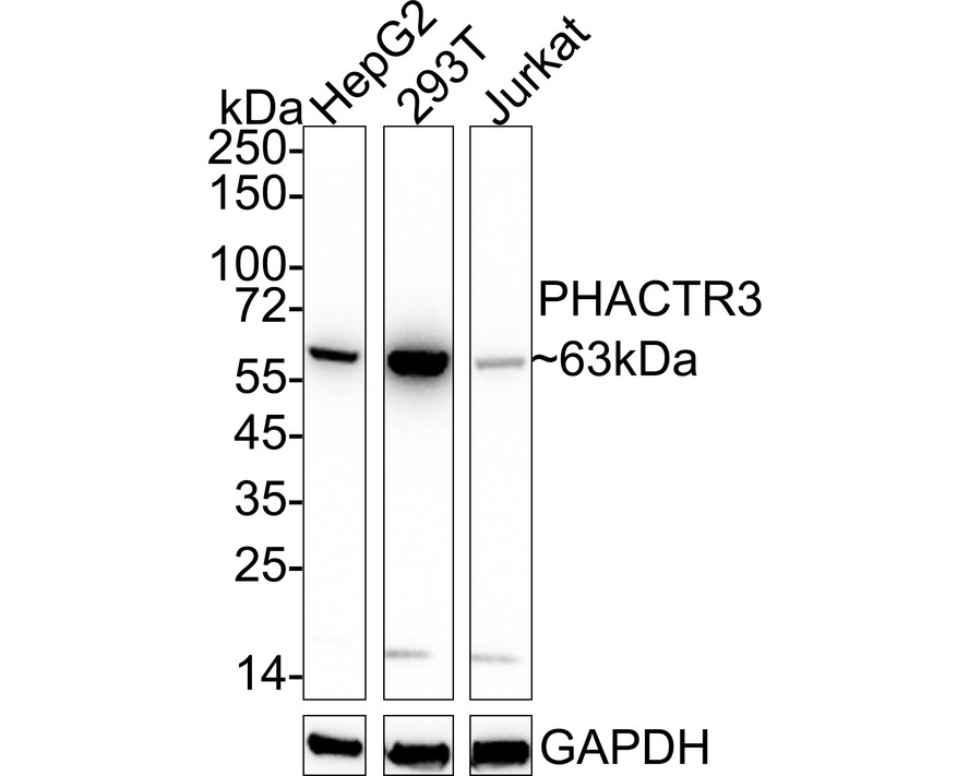HA722506_1.jpg