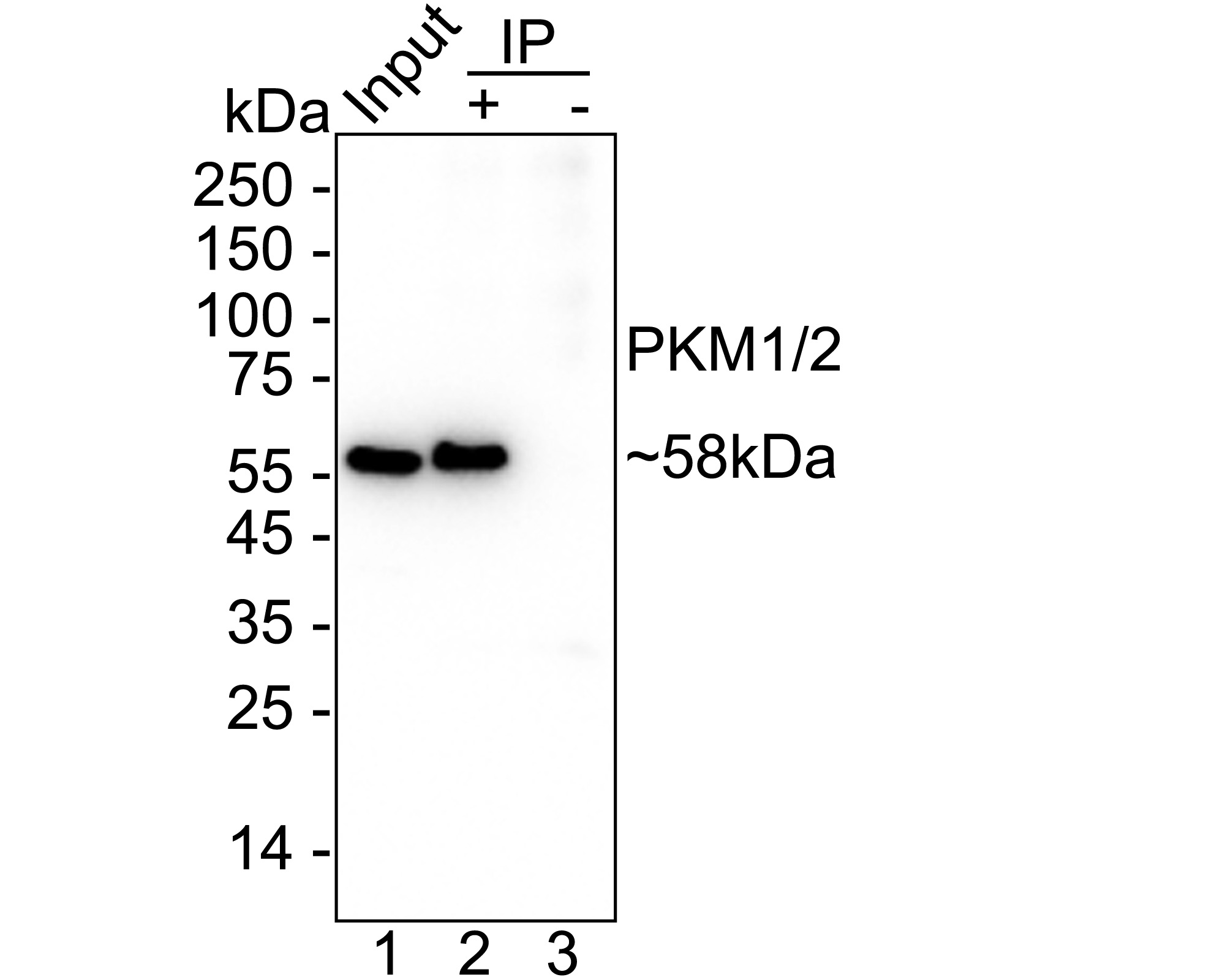HA722524_2.jpg