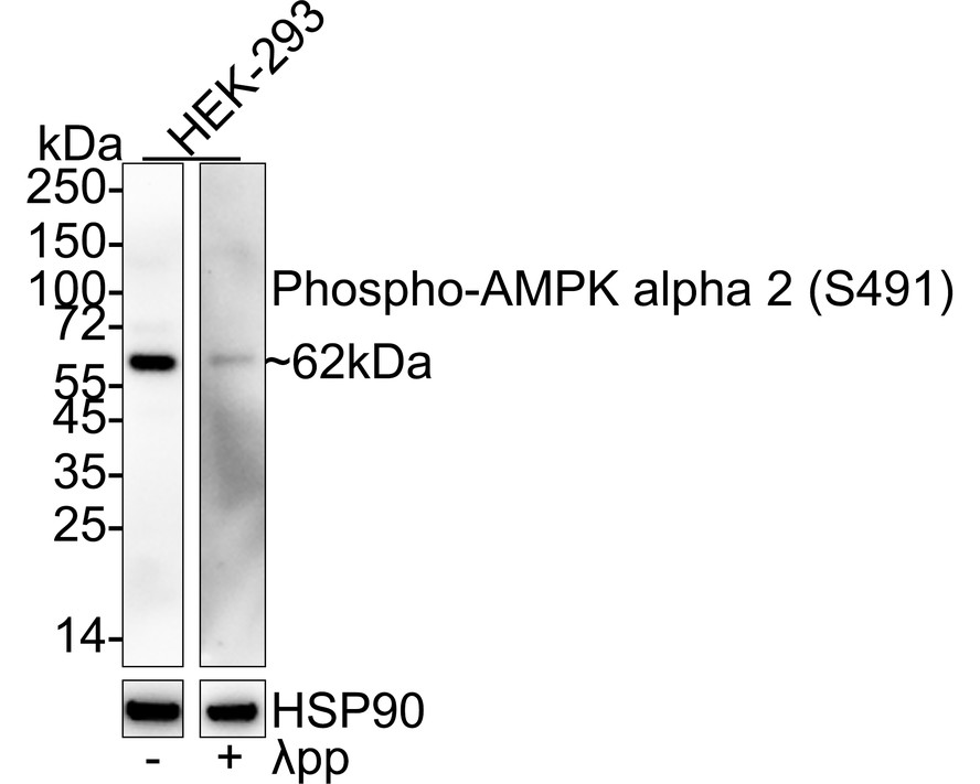 HA722567_1.jpg