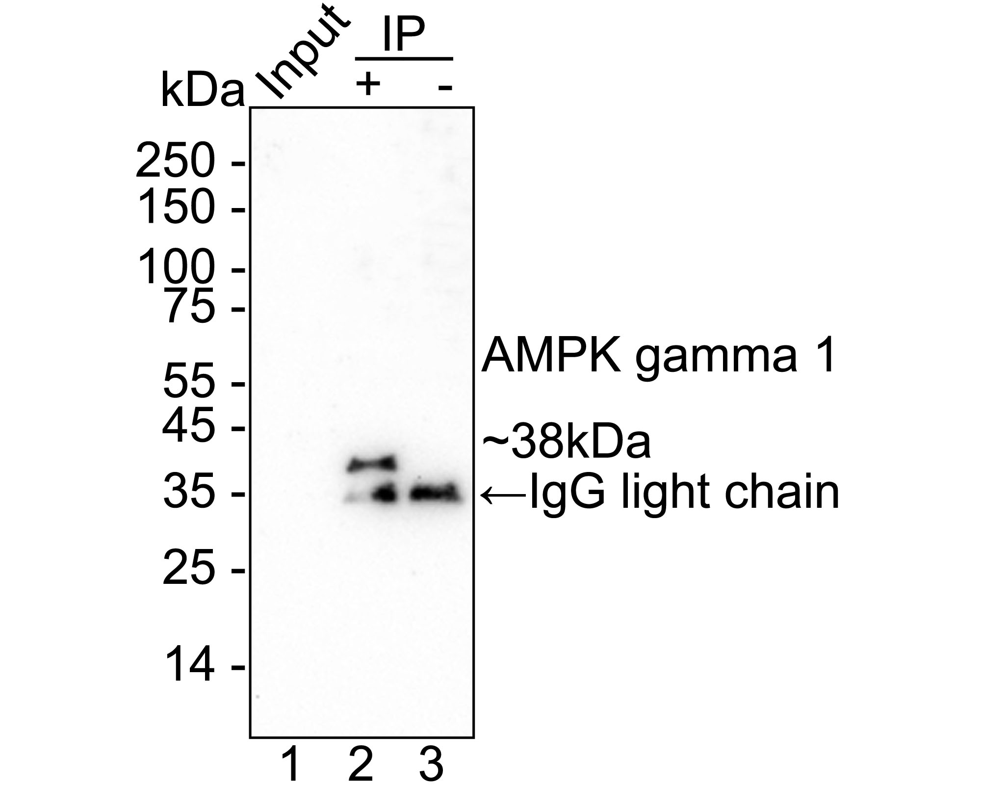 HA722691_3.jpg