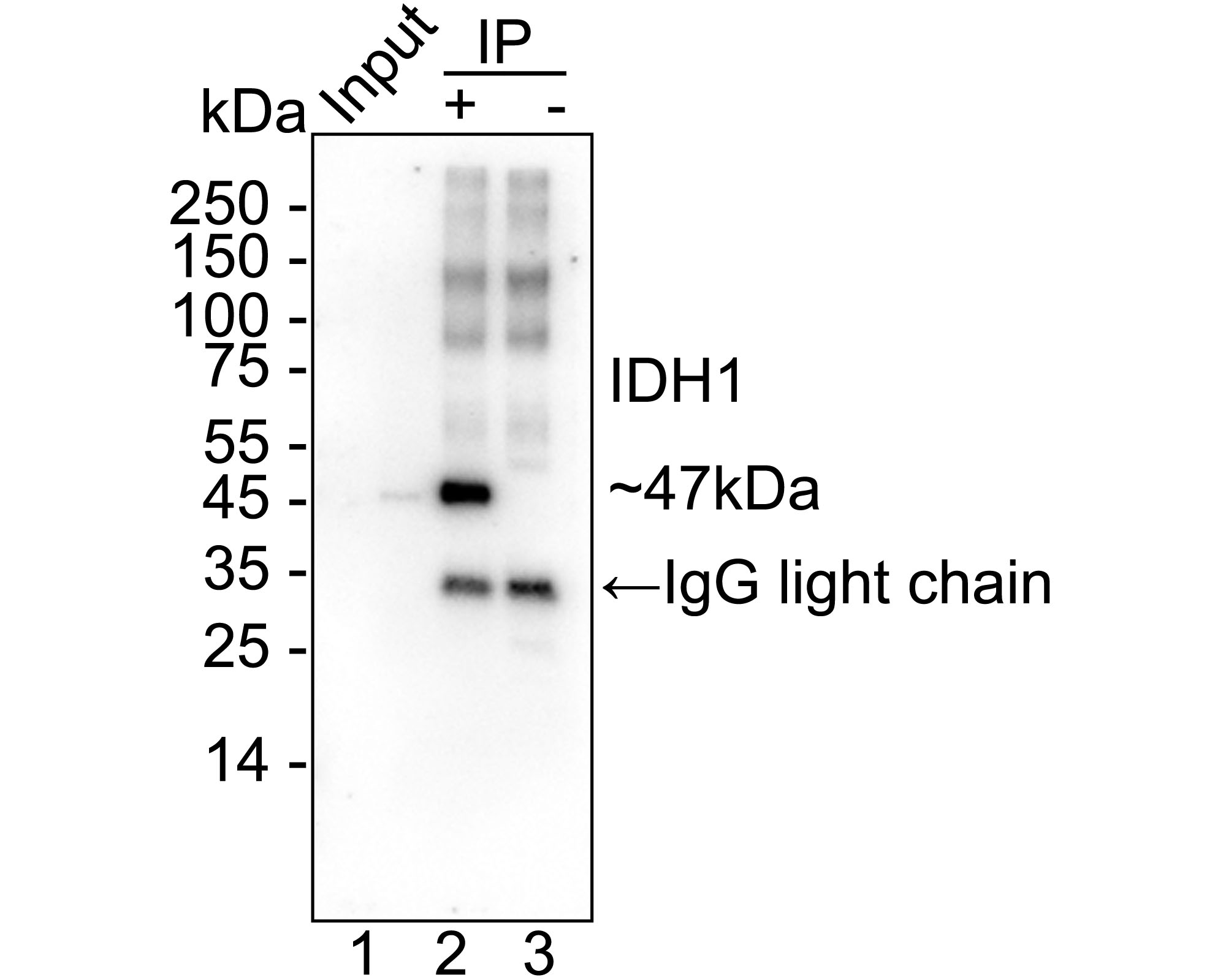 HA722696_7.jpg