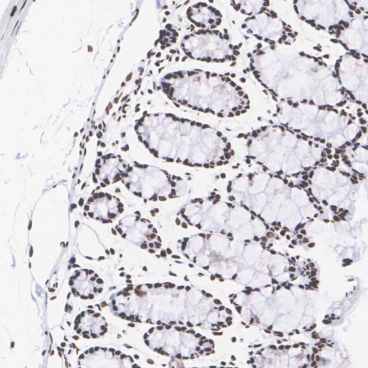 HA722726_3.jpg
