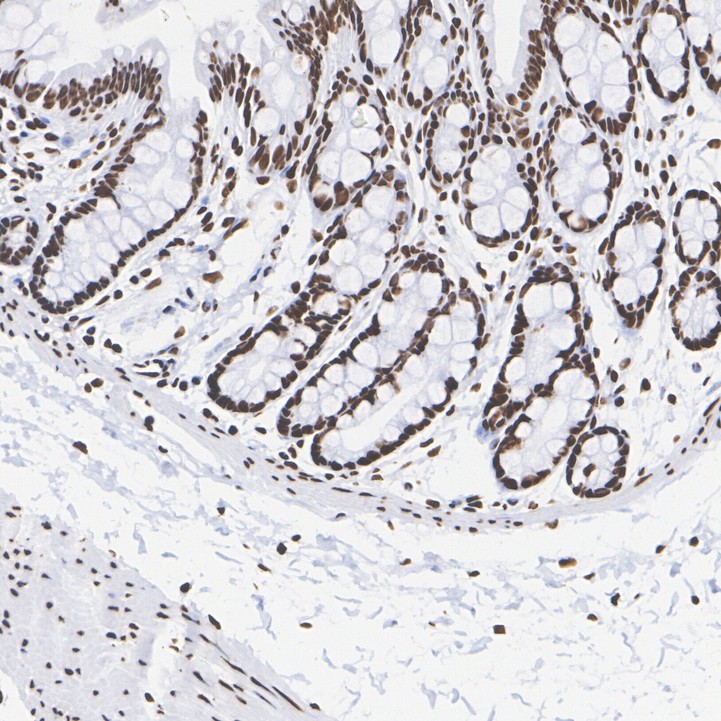 HA722726_5.jpg