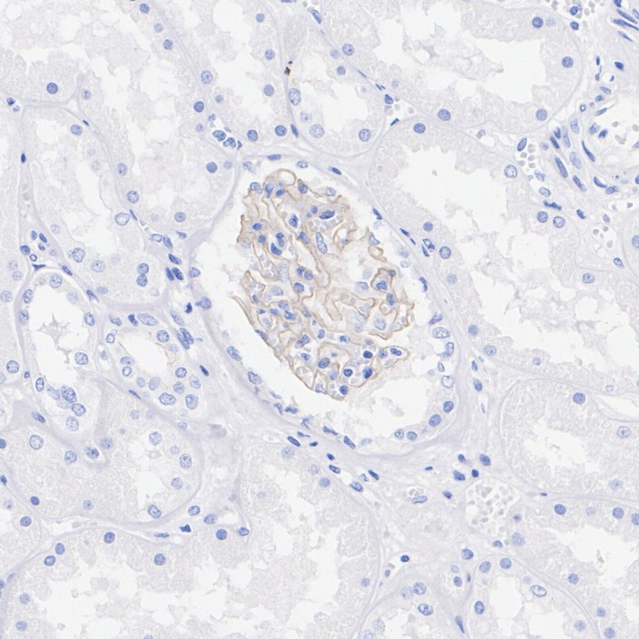 HA722851_3.jpg