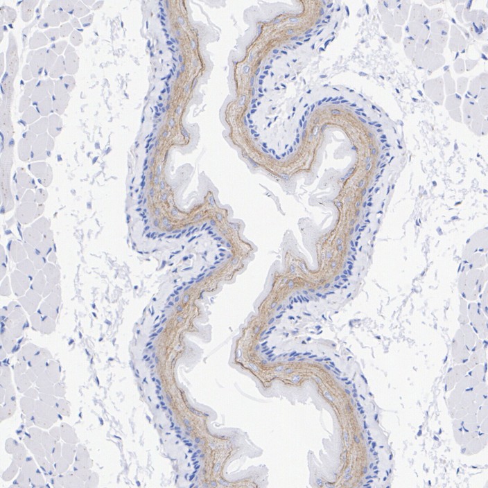 HA722930_3.jpg
