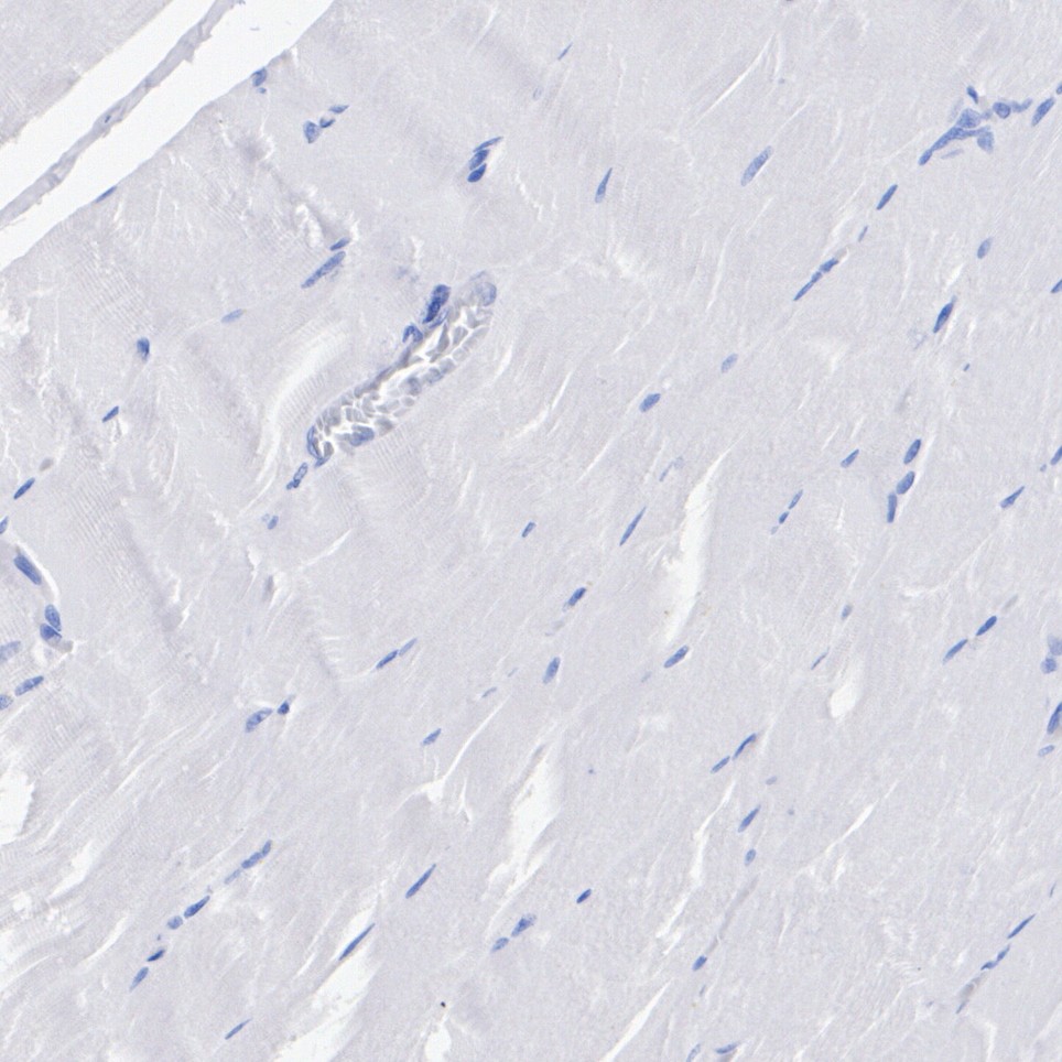 HA722937_5.jpg