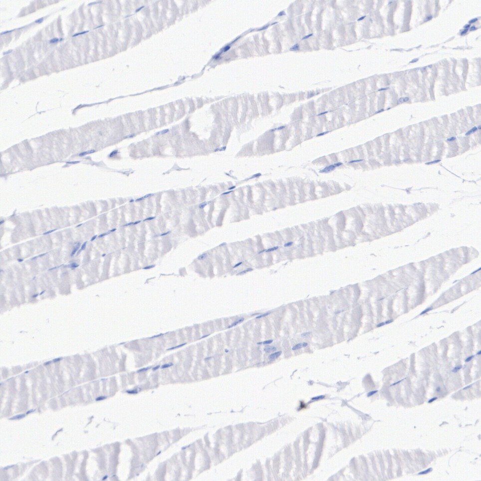 HA722937_6.jpg