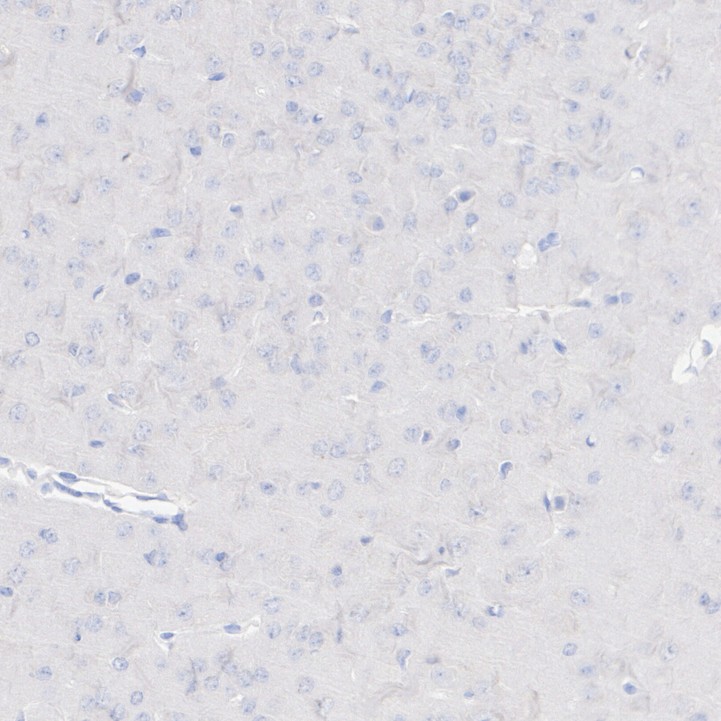 HA722962_2.jpg