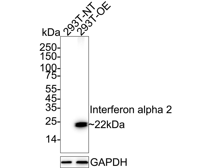 HA722967_1.jpg