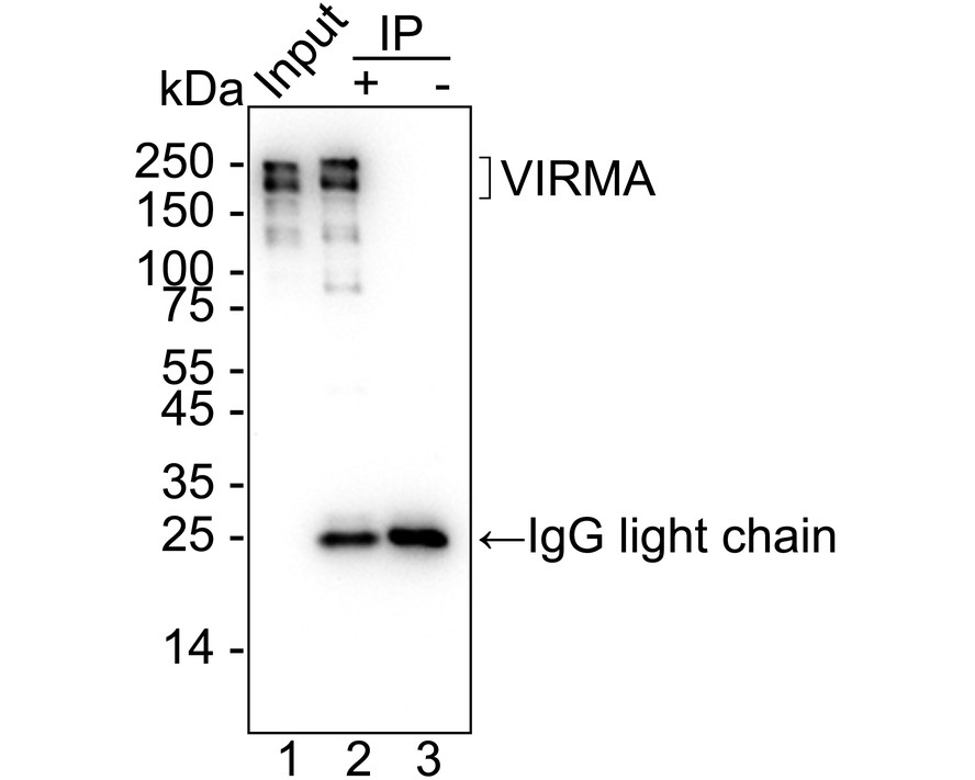 HA722972_10.jpg