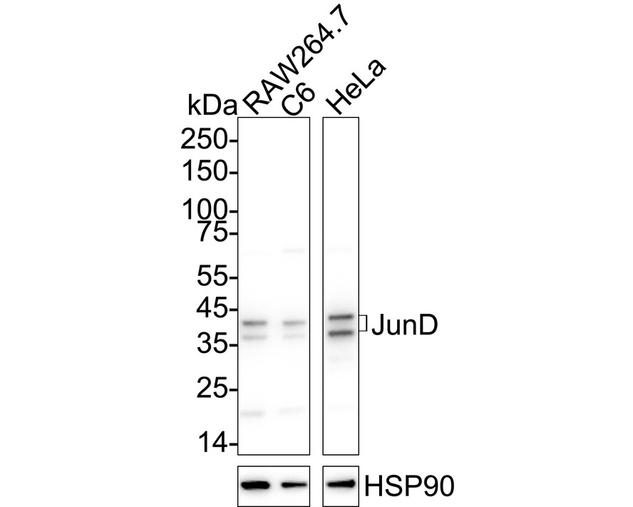 HA723037_2.jpg
