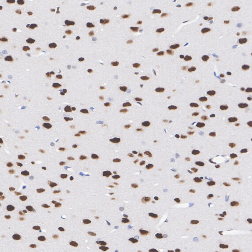 HA723037_6.jpg