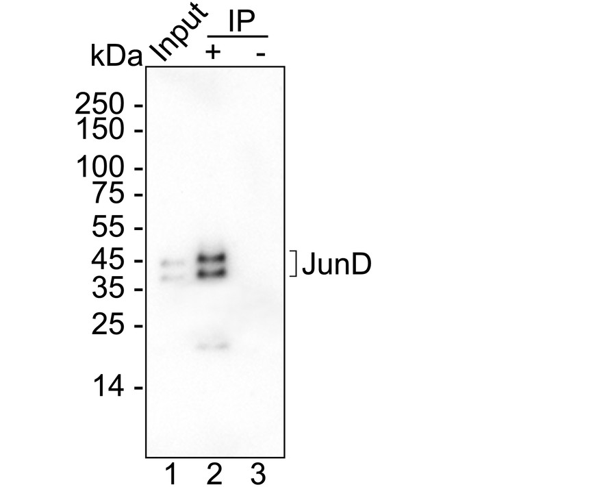 HA723037_9.jpg