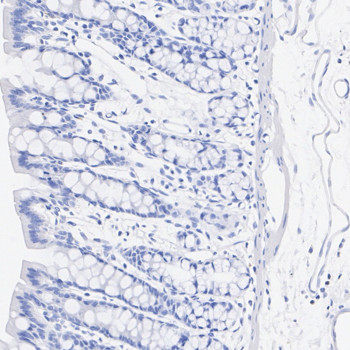 HA723077_7.jpg
