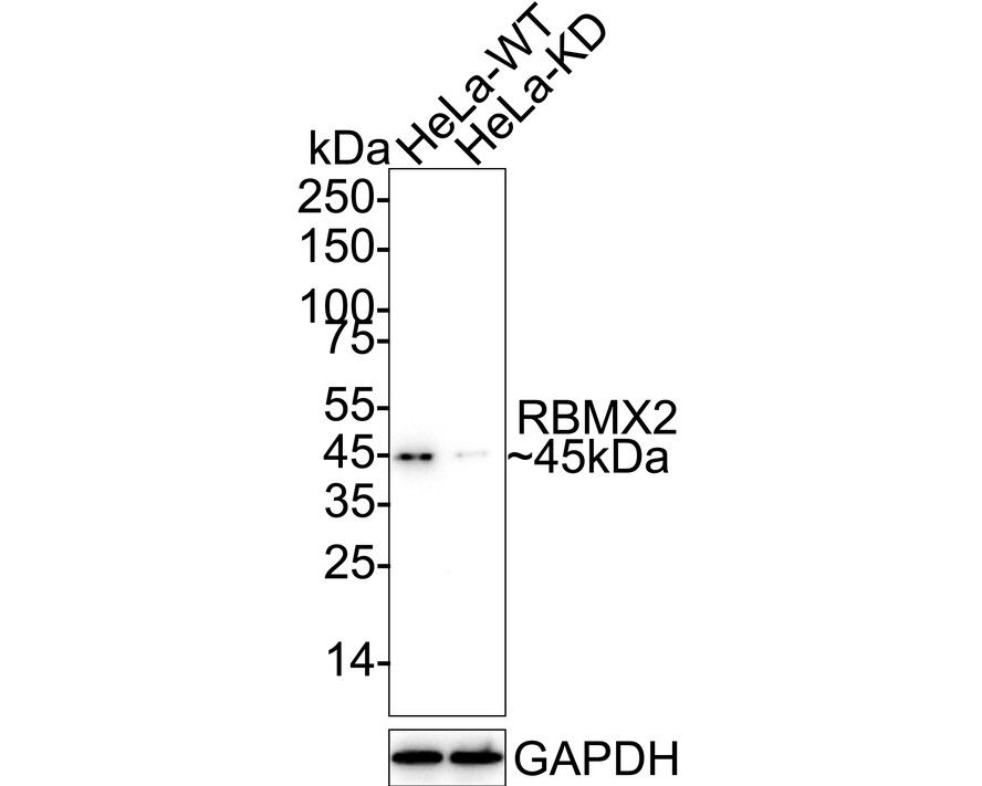 HA723109_2.jpg