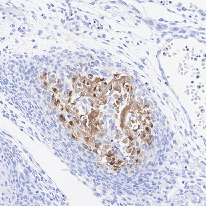 HA723129_4.jpg