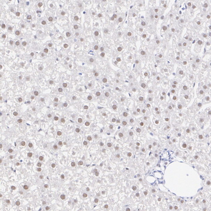 HA723131_4.jpg